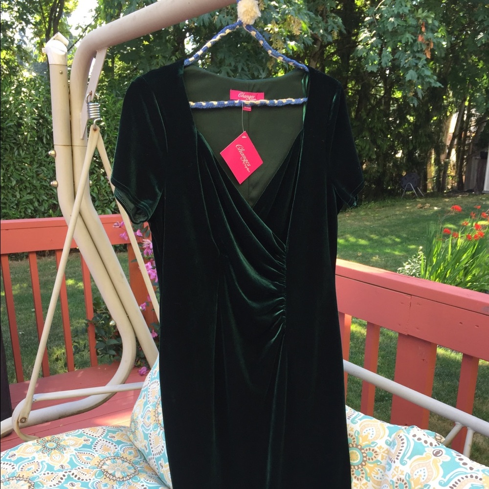 NWT Emerald Green Velvet Dress
